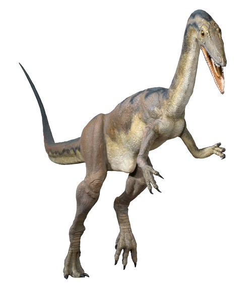 Modell des Fricker Raubdinosauriers, ausgeführt von Beat Scheffold