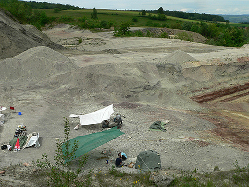 Die Grube Gruhalde während der diesjährigen Grabungskampagne (Foto: B. Pabst)