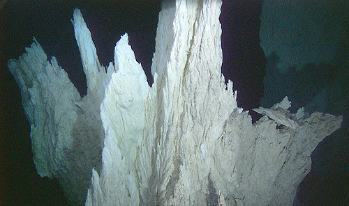 Hydrothermale Aktivität in Serpentiniten führt zur Ausfällung von weissen Karbonaten und ermöglicht dort biologische Vielfalt auf dem Ozeanboden.